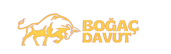 Boğaç Davut